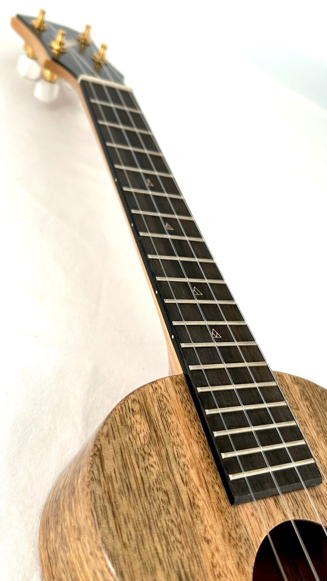 Rebel Double Creme Concert matt #40