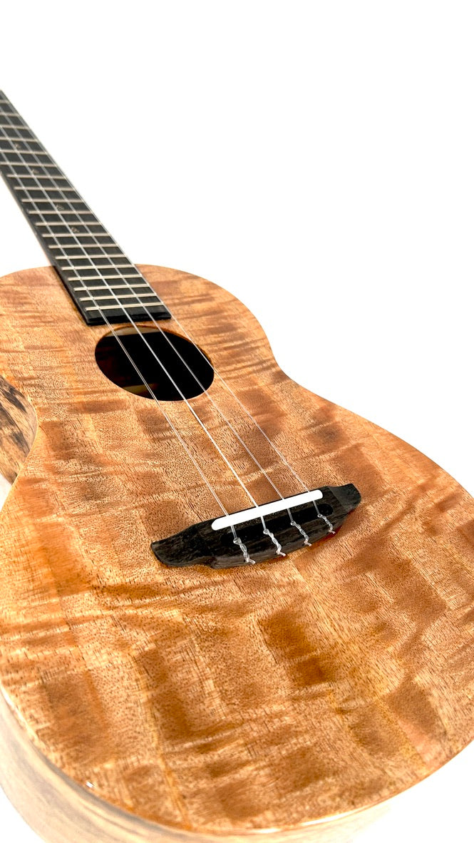 Rebel Double Creme Tenor gloss #55