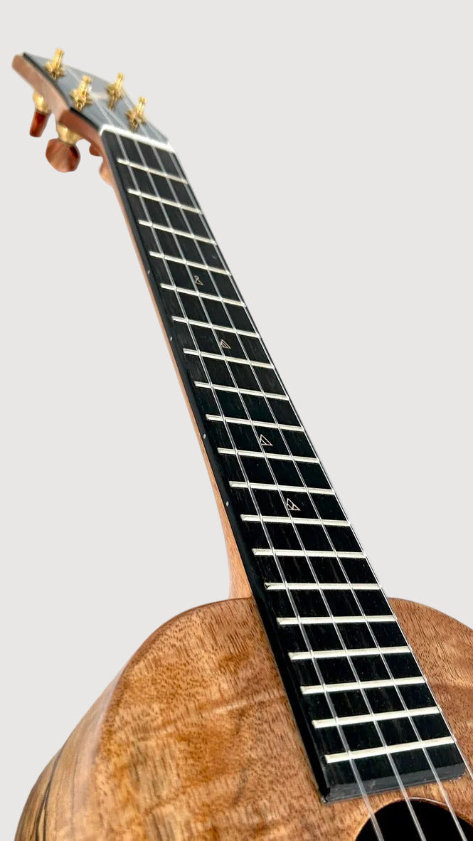Rebel Double Creme Tenor gloss #58