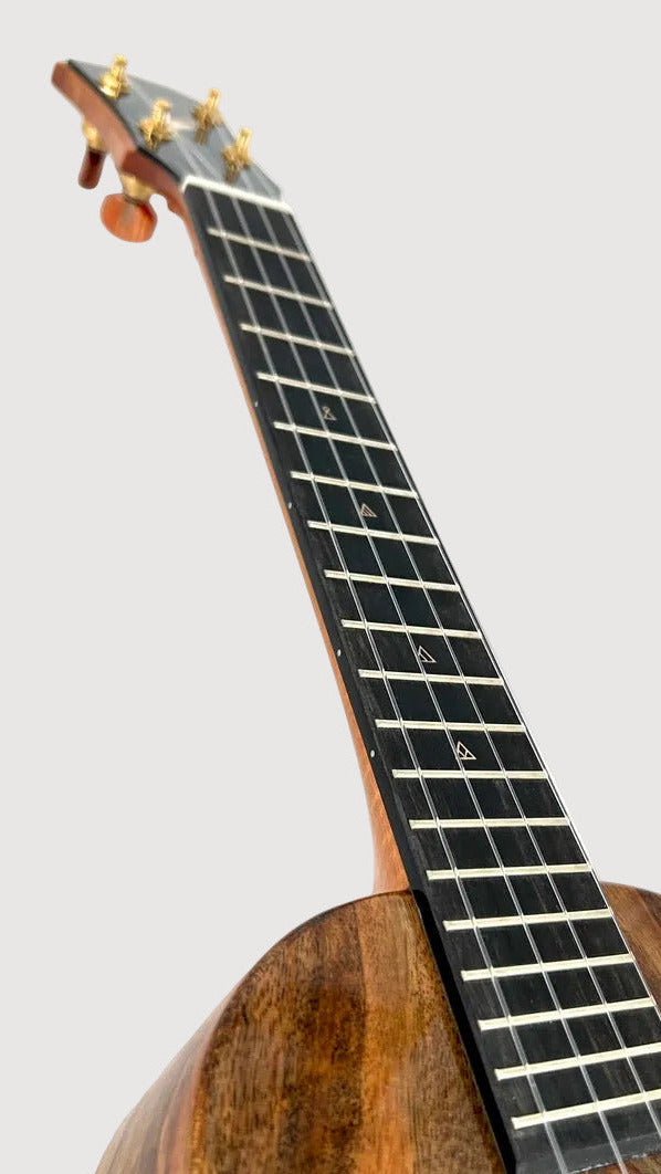 Rebel Double Creme Tenor gloss #59