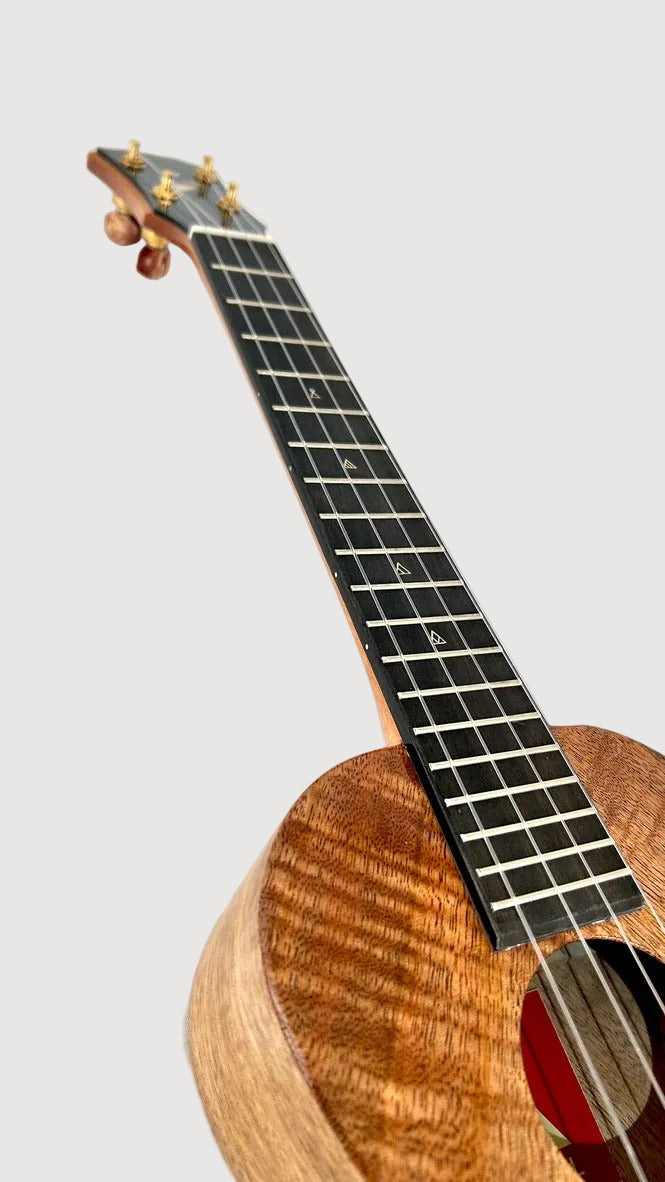 Rebel Double Creme Tenor gloss #61