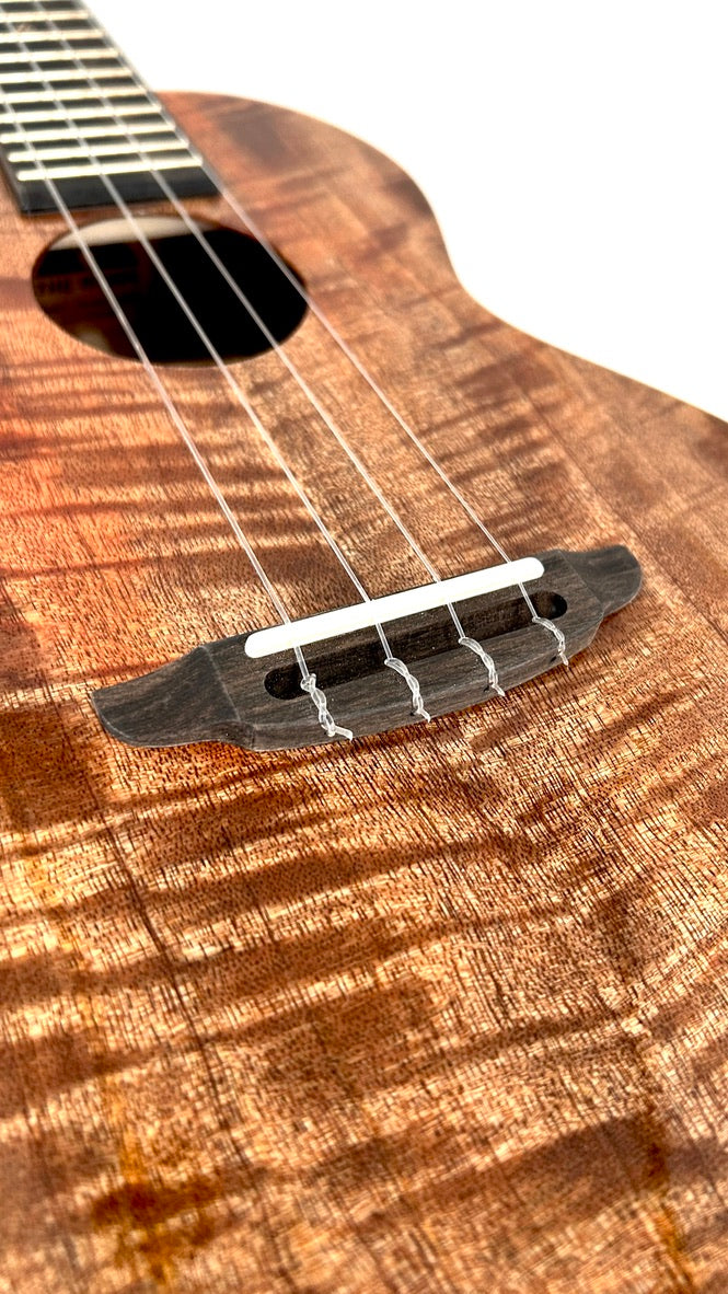 Rebel Double Creme Tenor gloss #63
