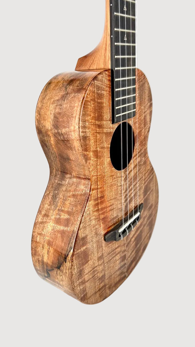Rebel Double Creme Tenor gloss #63