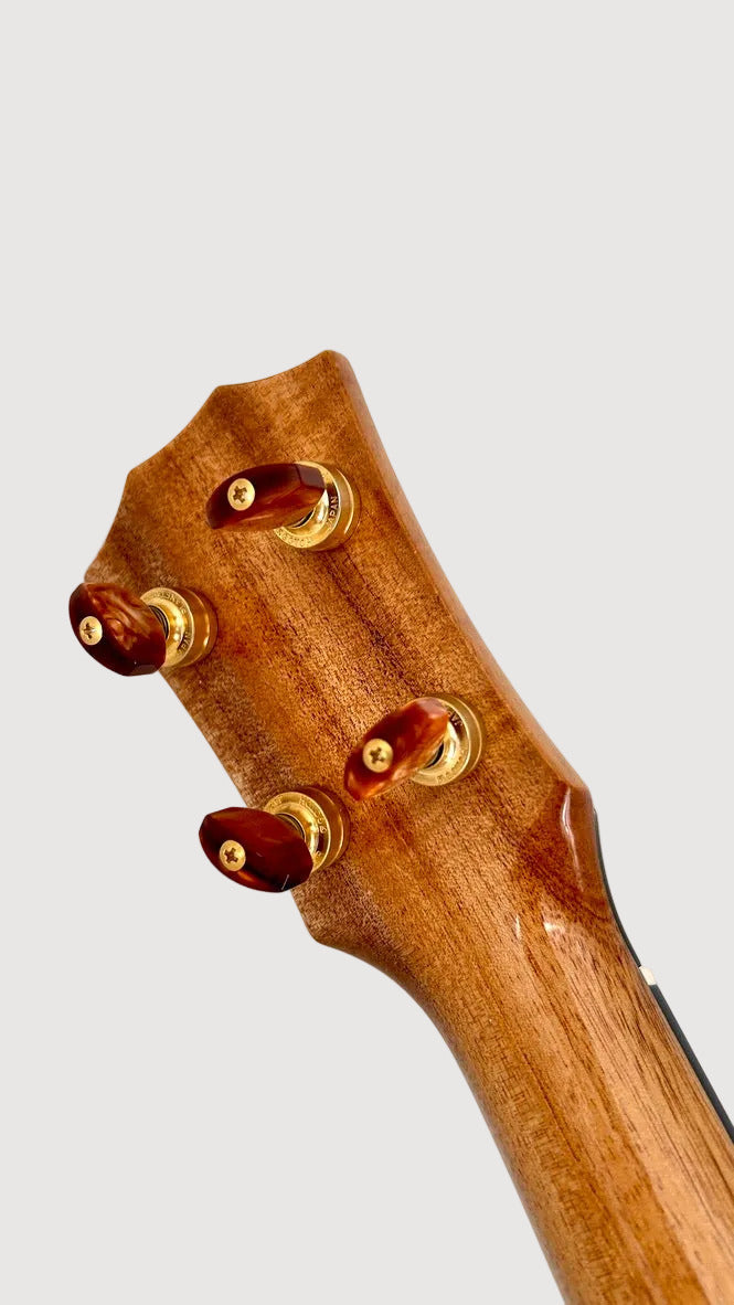 Rebel Double Creme Tenor gloss #63