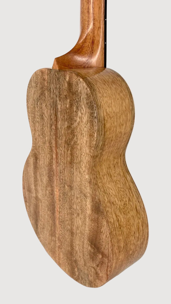 Rebel Double Creme Tenor matt #40