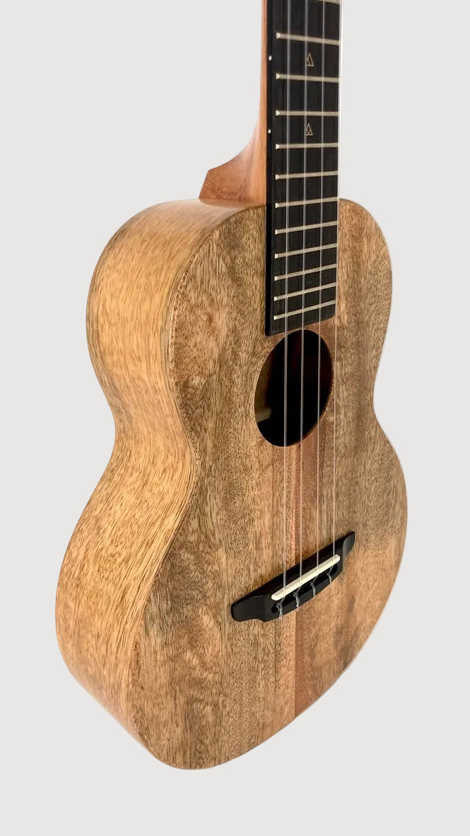 Rebel Double Creme Tenor matt #40