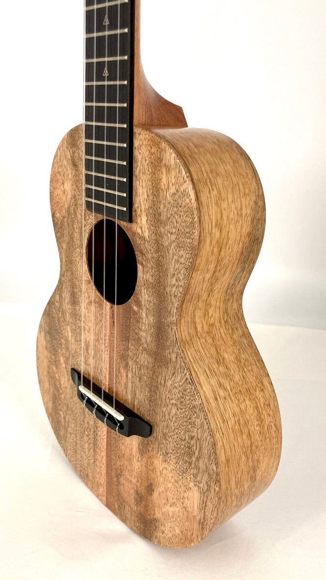 Rebel Double Creme Tenor matt #40