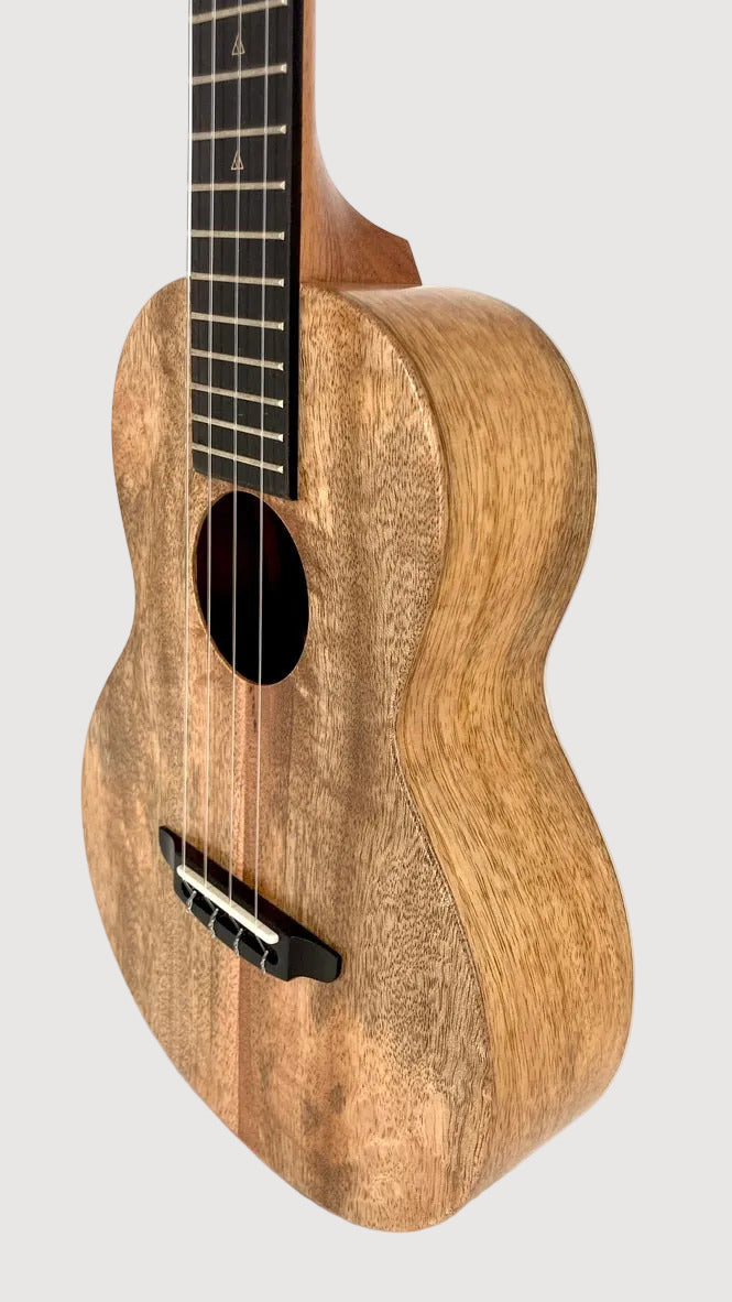 Rebel Double Creme Tenor matt #40