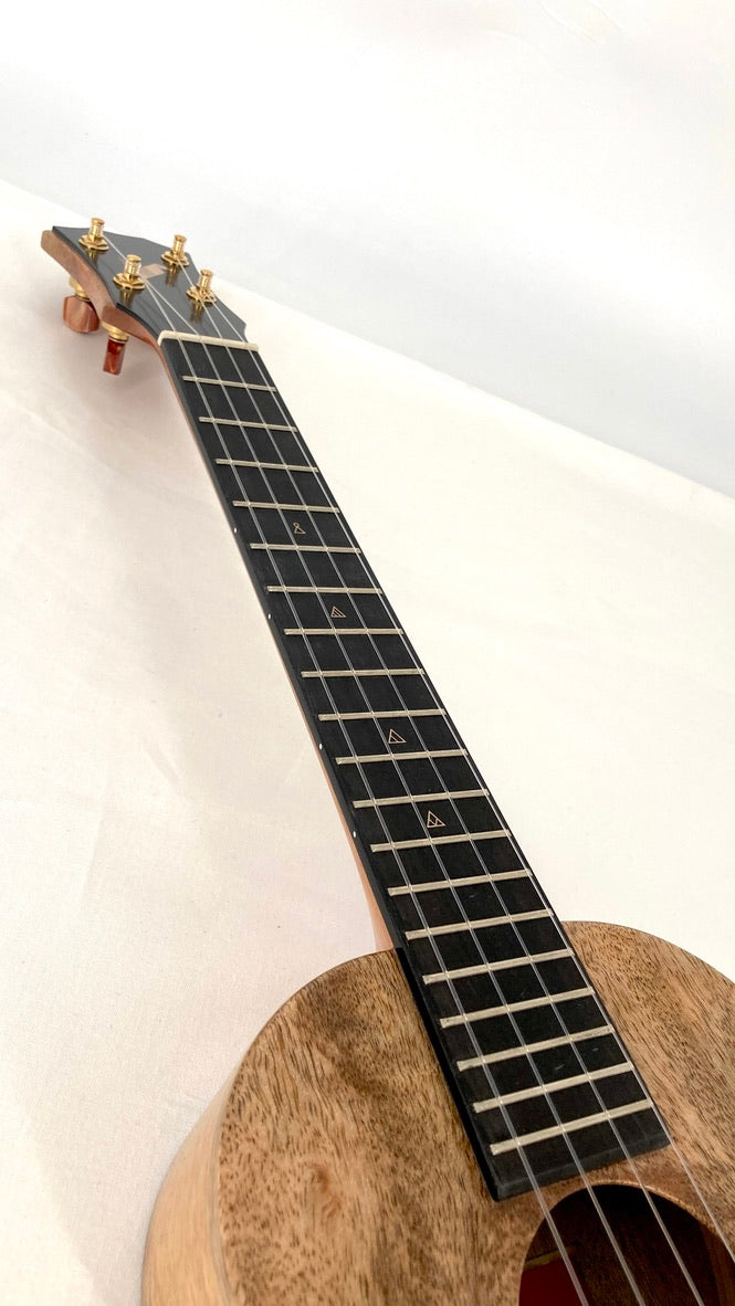 Rebel Double Creme Tenor matt #40