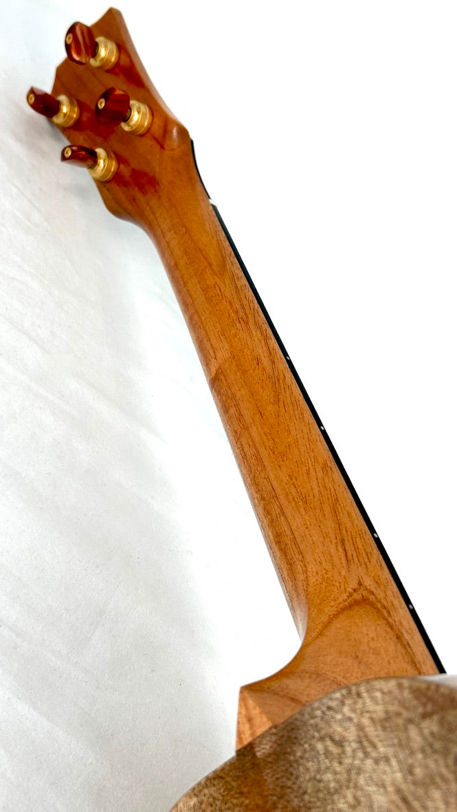 Rebel Double Creme Tenor matt #46