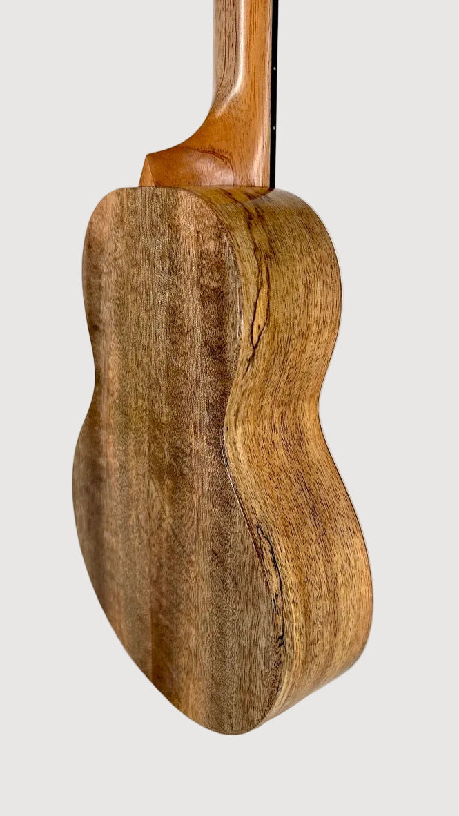 Rebel Double Creme Tenor matt #47