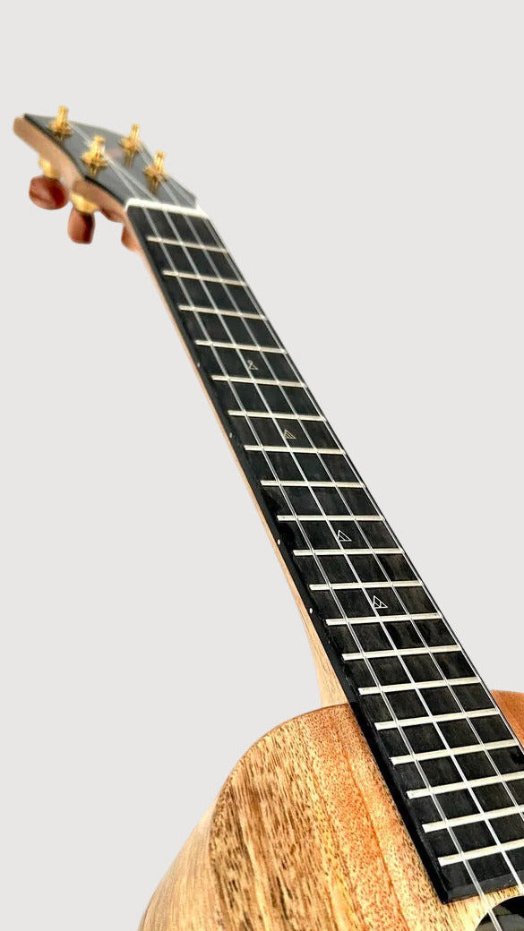 Rebel Double Creme Tenor matt #48