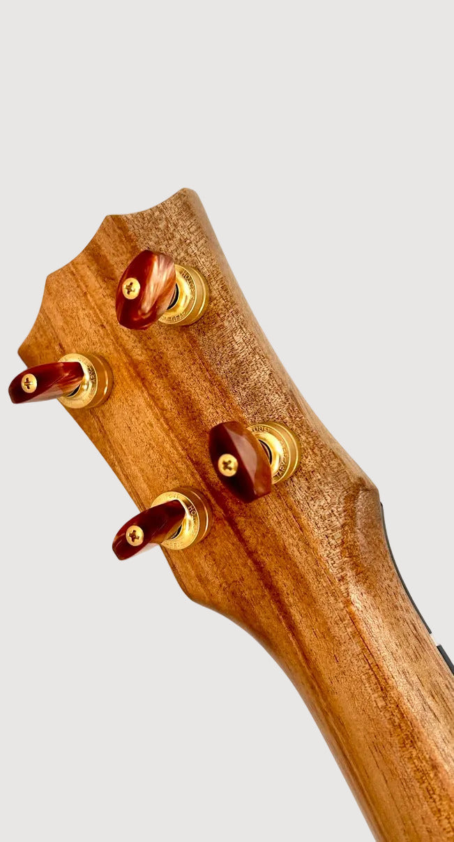 Rebel Double Creme Tenor matt #48