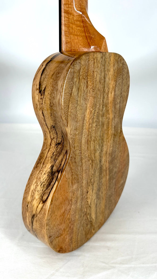 Rebel Creme brulee Concert Longneck gloss #13