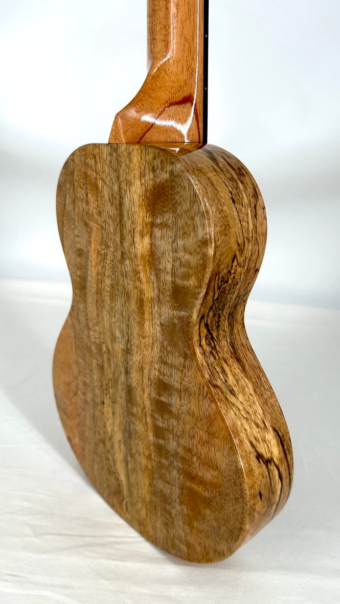 Rebel Creme brulee Concert Longneck gloss #13