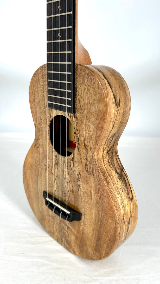 Rebel Creme brulee Concert Longneck gloss #13