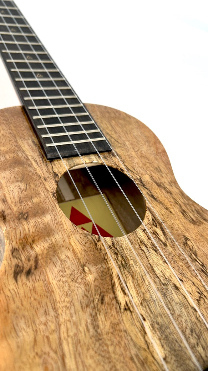 Rebel Creme brulee Concert Longneck gloss #13