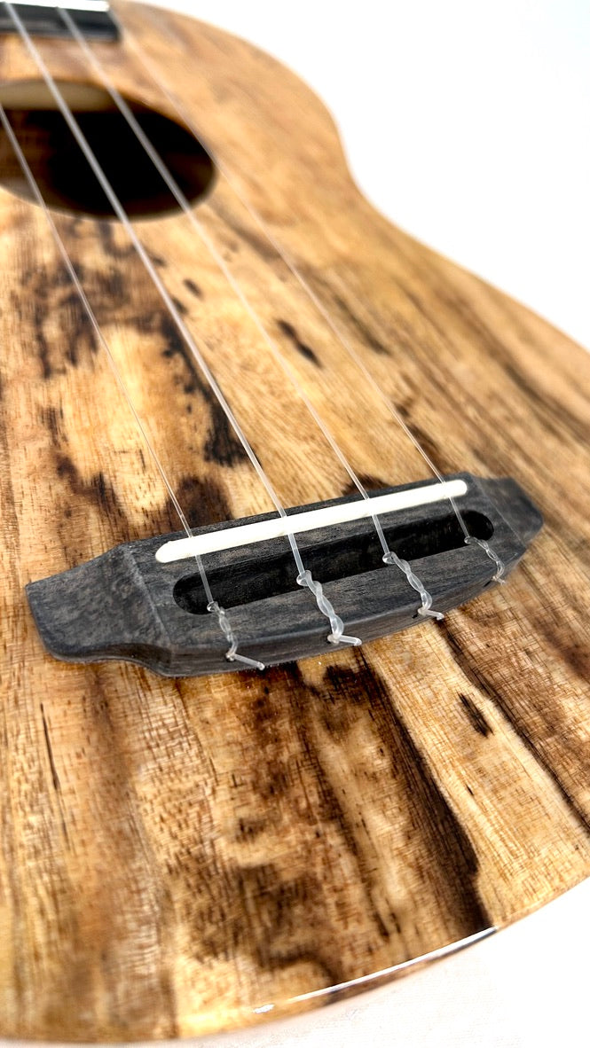 Rebel Creme brulee Sopran gloss #31