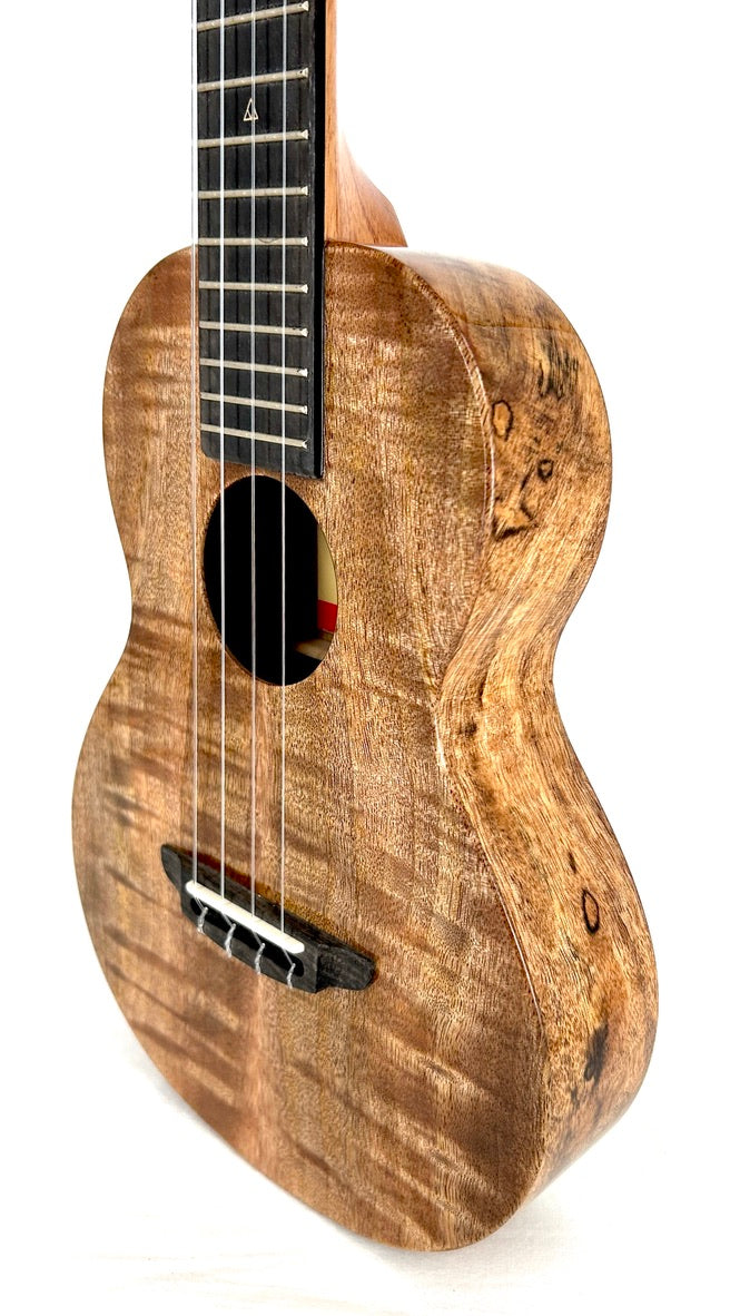 Rebel Creme brulee Tenor gloss #22