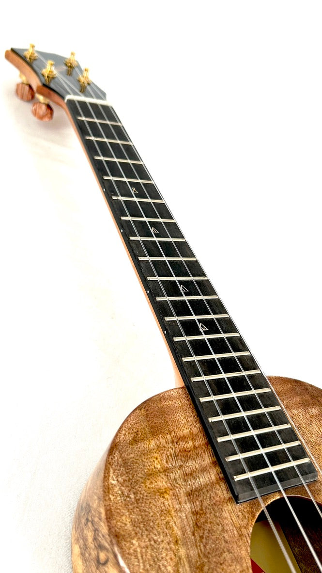 Rebel Creme brulee Tenor gloss #22