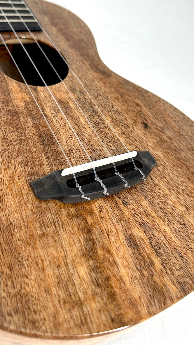 Rebel Double Creme Concert Longneck gloss #29