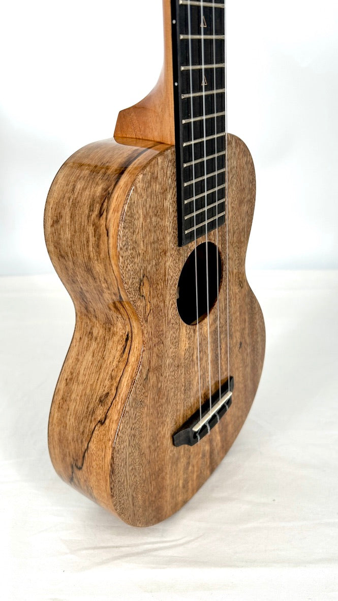 Rebel Double Creme Concert Longneck gloss #29