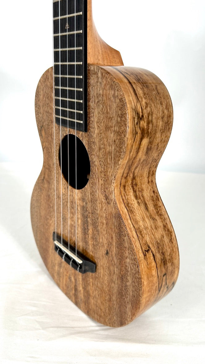 Rebel Double Creme Concert Longneck gloss #29