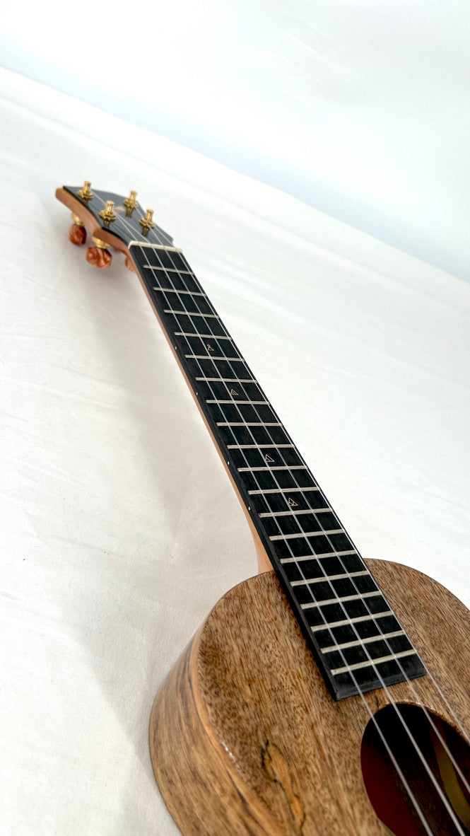 Rebel Double Creme Concert Longneck gloss #29