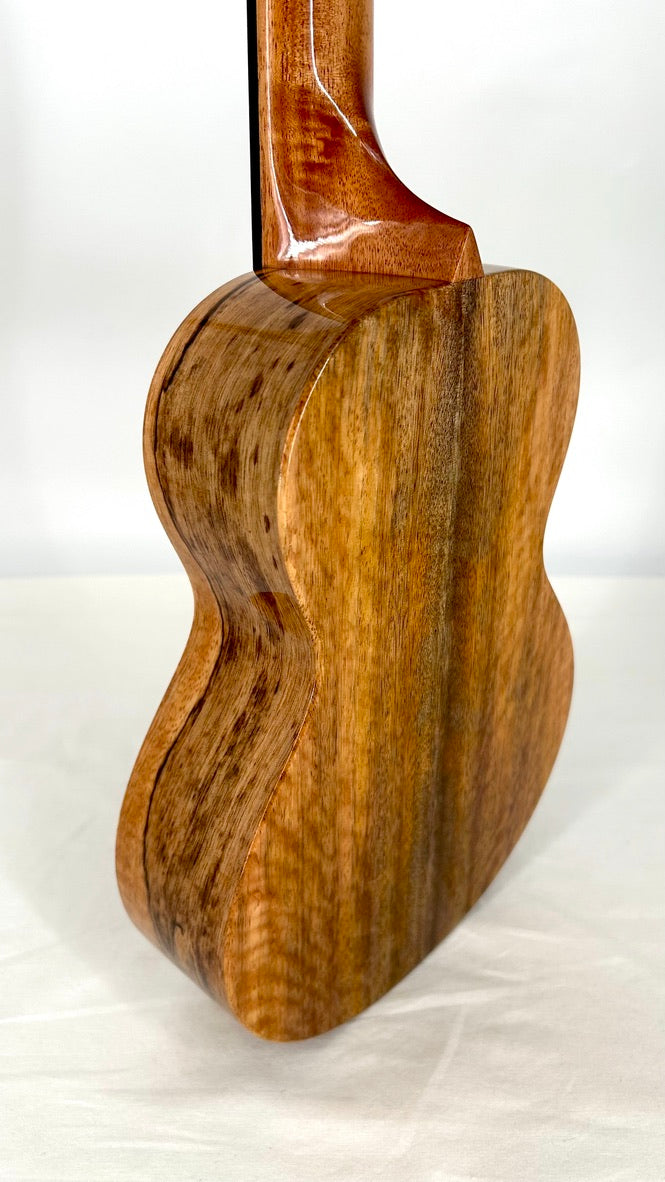 Rebel Double Creme Concert Longneck gloss #31