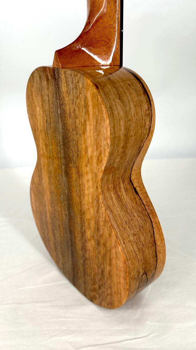 Rebel Double Creme Concert Longneck gloss #31