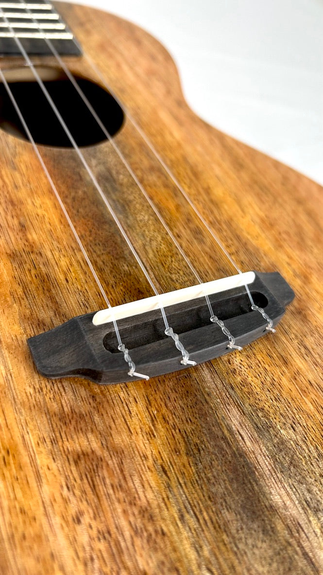 Rebel Double Creme Concert Longneck gloss #31