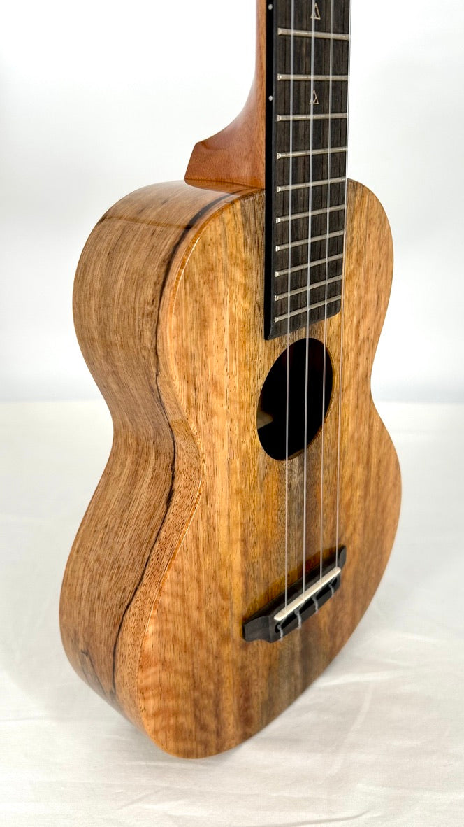 Rebel Double Creme Concert Longneck gloss #31