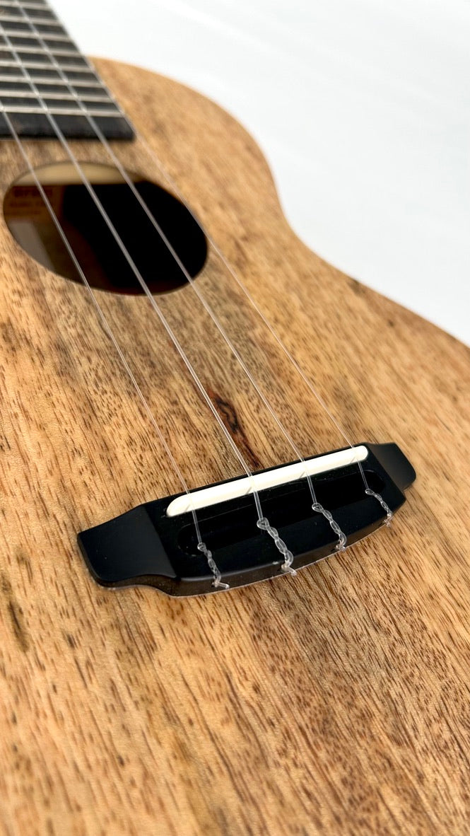 Rebel Double Creme Concert matt #45