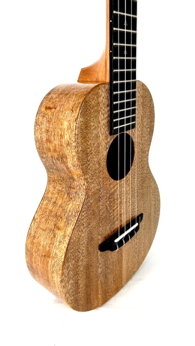 Rebel Double Creme Tenor matt #45