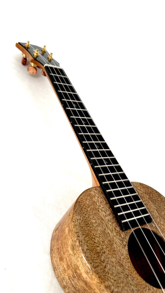 Rebel Double Creme Tenor matt #45