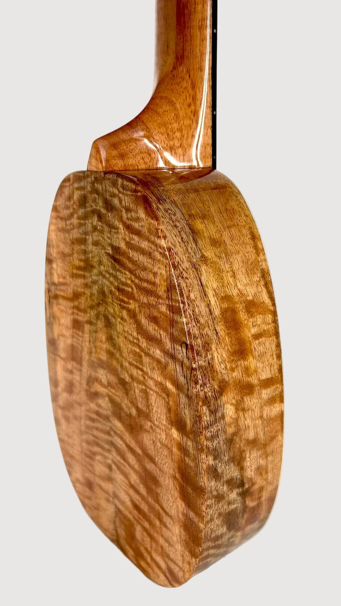 Rebel "Pi" Pineapple Sopran #3