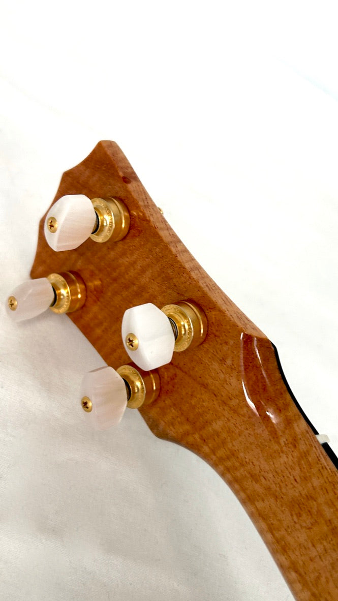 Rebel "Pi" Pineapple Sopran #3