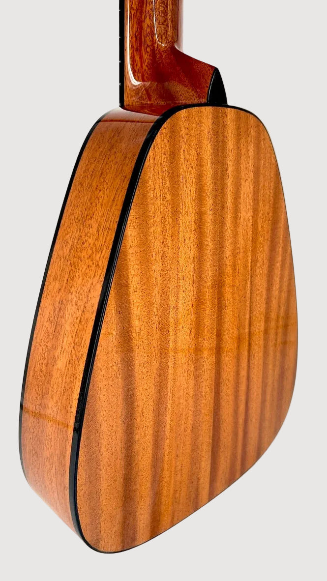 Romero Creations Daniel Ho Guitarlele