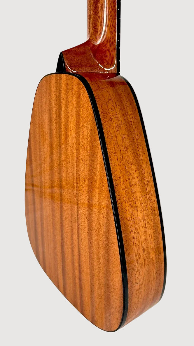 Romero Creations Daniel Ho Guitarlele