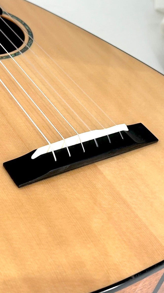 Romero Creations Daniel Ho Guitarlele