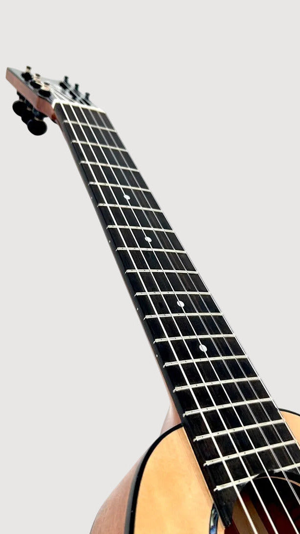 Romero Creations Daniel Ho Guitarlele