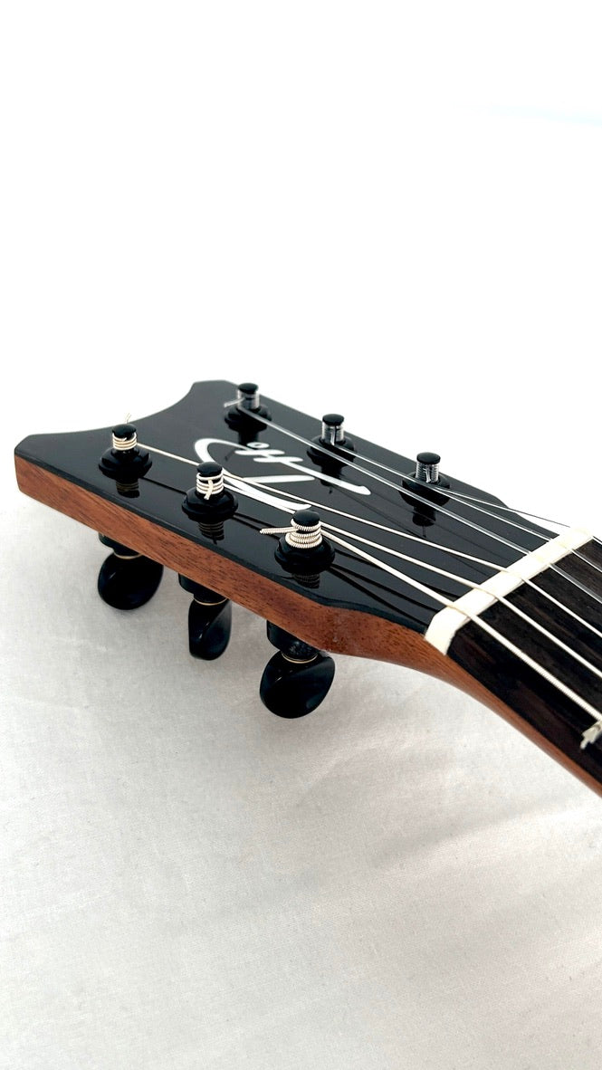 Romero Creations Daniel Ho Guitarlele