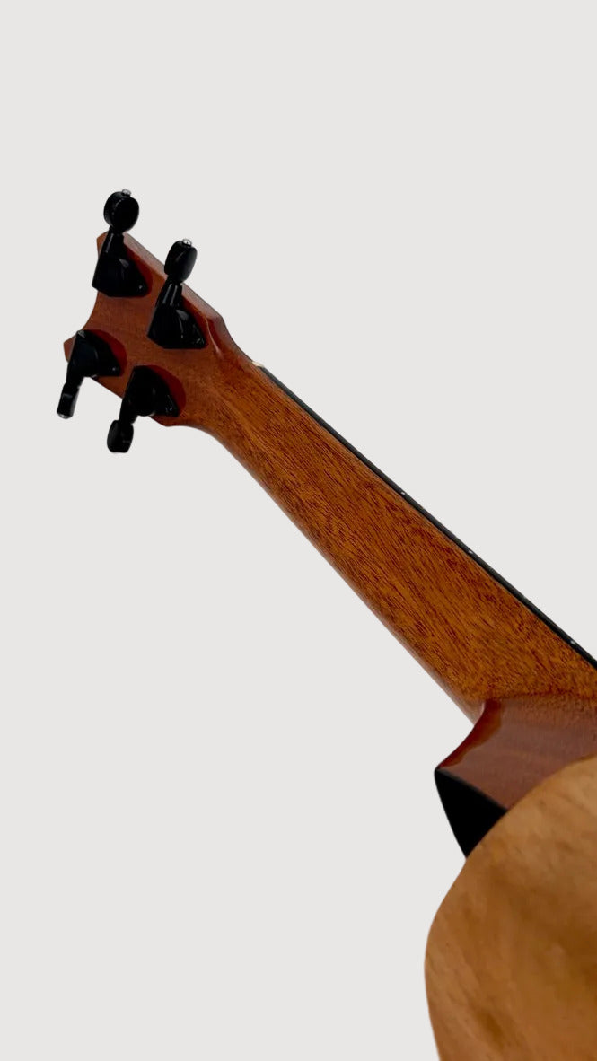 Romero Creations STC Koa