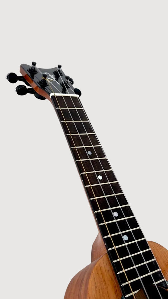 Romero Creations STC Koa