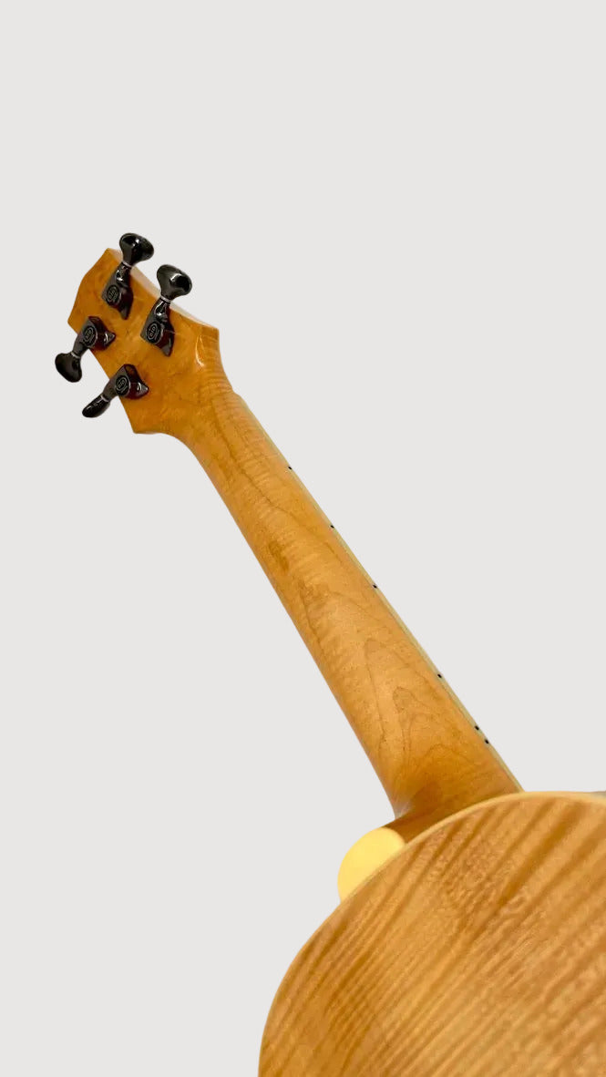 Striebel Tenor Jazzukulele