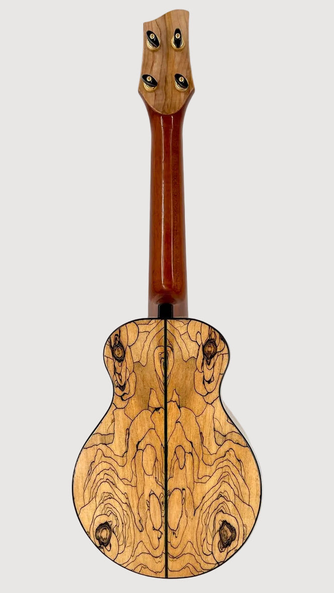Naturel Concert Spalted Maple