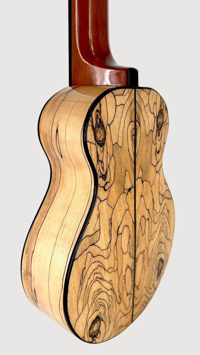Naturel Concert Spalted Maple