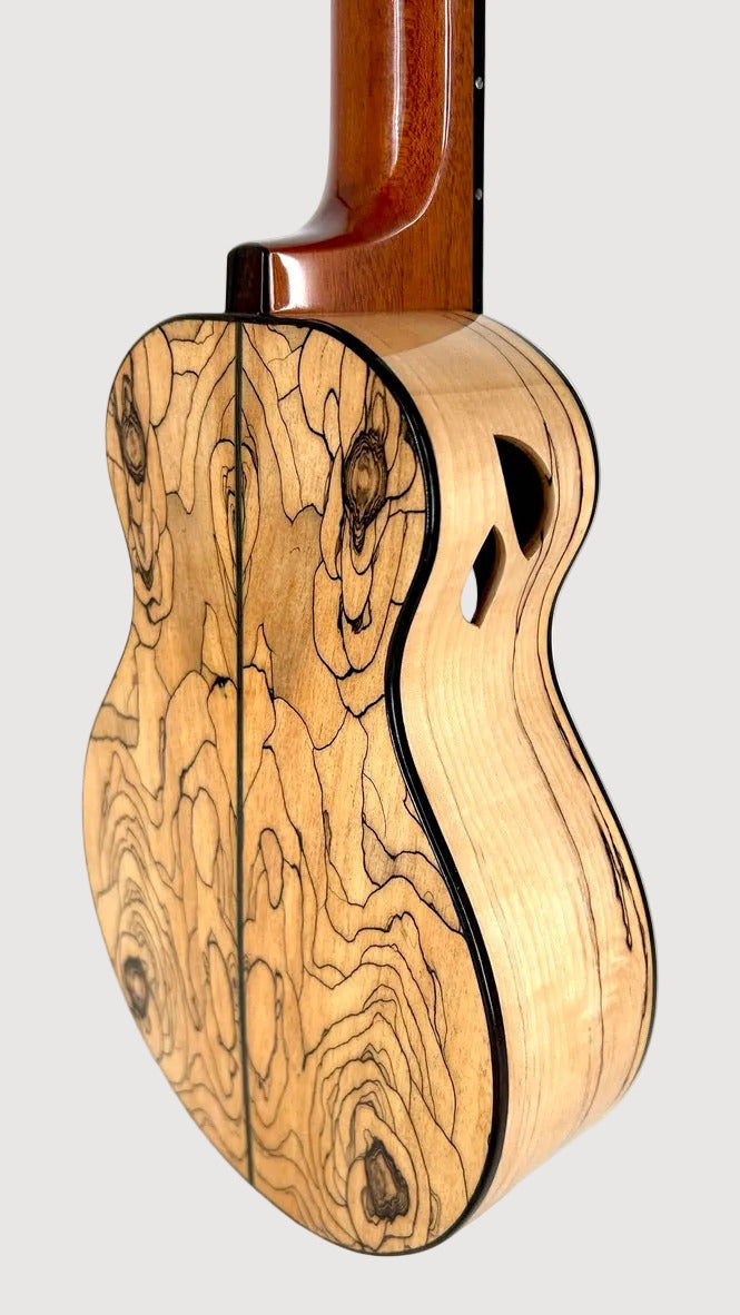 Naturel Concert Spalted Maple