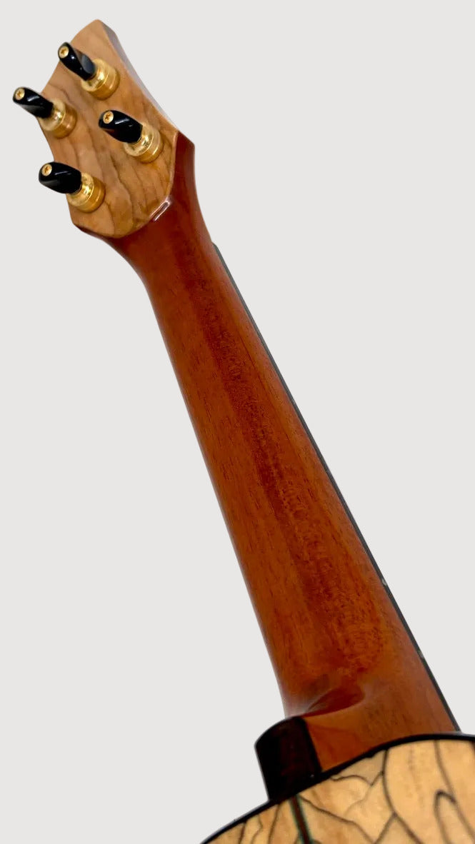 Naturel Concert Spalted Maple