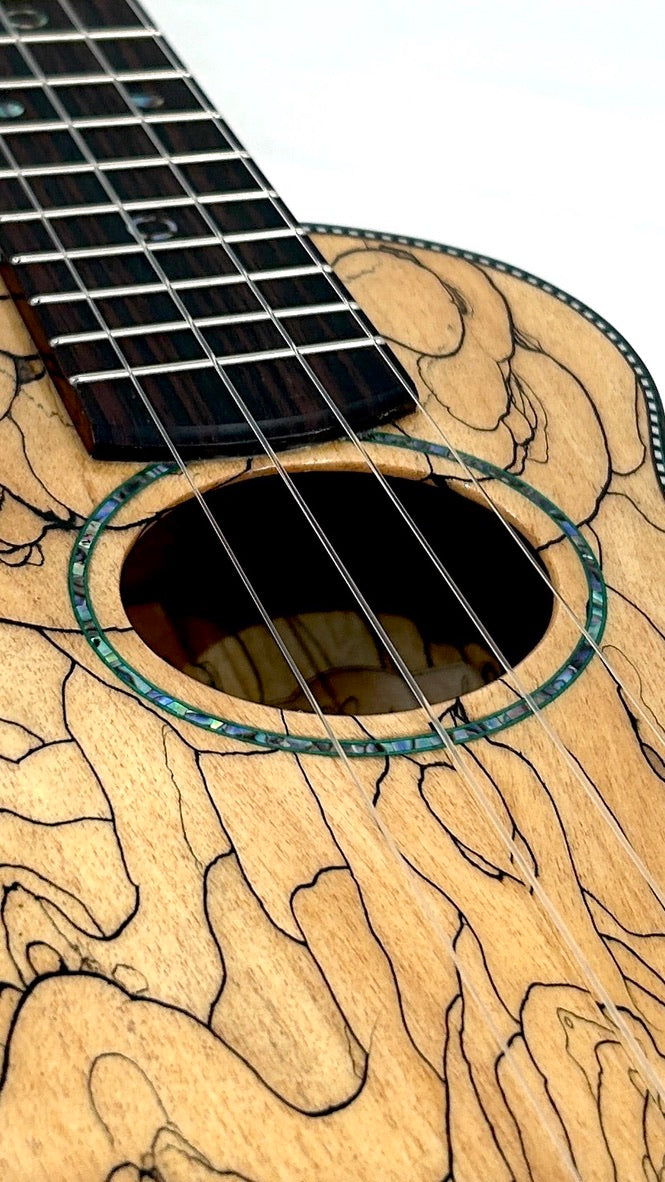 Naturel Concert Spalted Maple